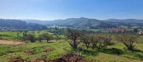 Pozo Profundo en Lagunillas