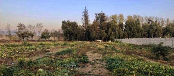 Pozo Profundo en Malloco