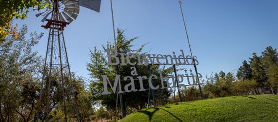 Pozo Profundo en Marchigue